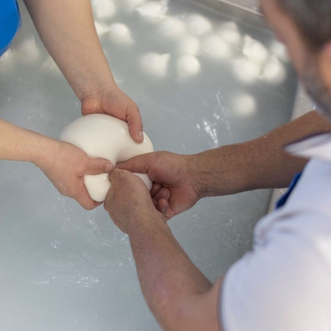 Buffalo Farm Tour with Mozzarella-based Lunch in Paestum 8 Salerno