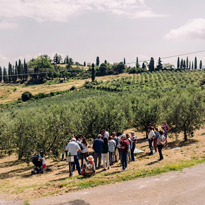 Olive Grove & Oil Mill Tour with Tasting near Bologna 2 Bologna