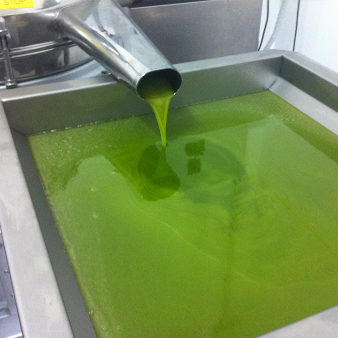 Olive Mill Tour & Tasting with Food near Gubbio & Perugia 6 Perugia