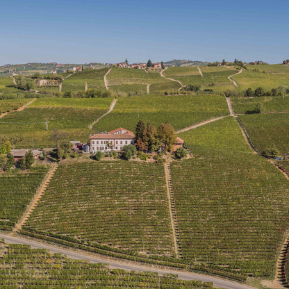 Wine Tasting with Snacks in Neive, the heart of Langhe 6 Cuneo
