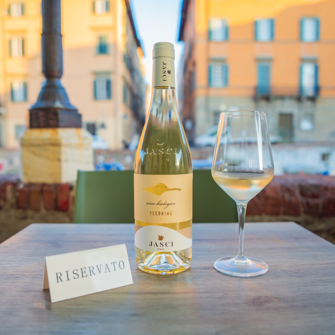 Gourmet Southern Wine Tasting with Pairings in Livorno 7 Livorno
