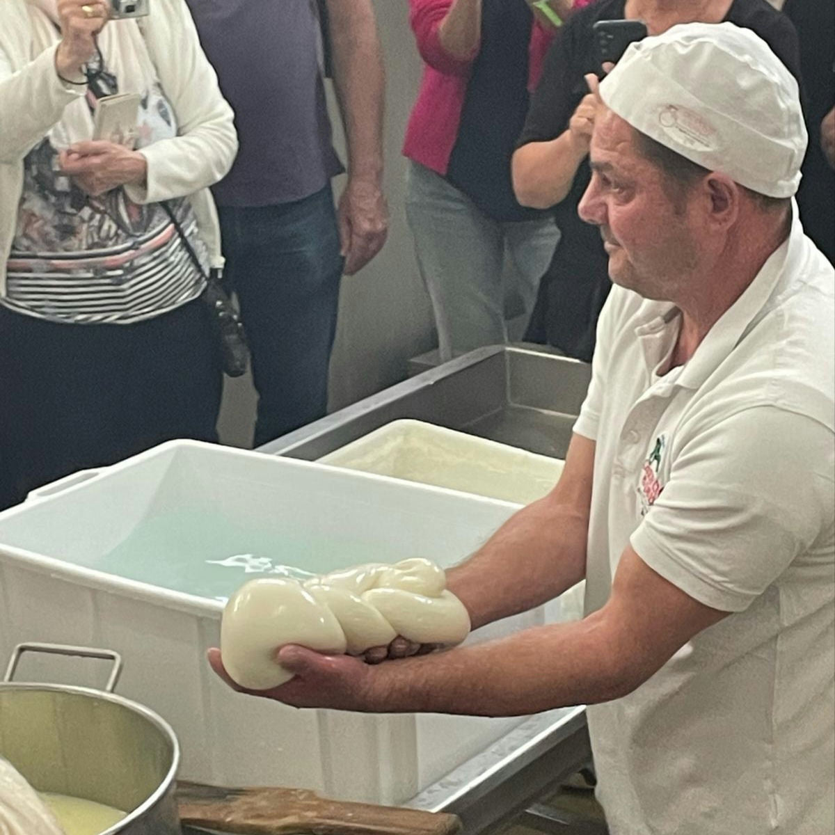 Mozzarella Making Show with Tasting in Bari 4 Bari