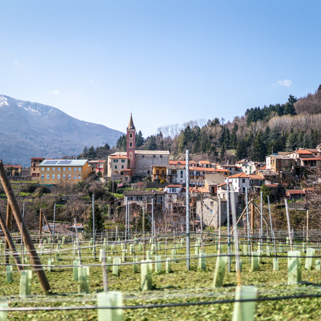 Medieval Village Tour with Wine & Food Tasting near Imperia 2 Imperia