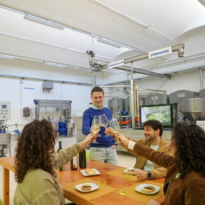 Olive Oil Tasting Experience with Aperitivo near Ancona 2 Ancona
