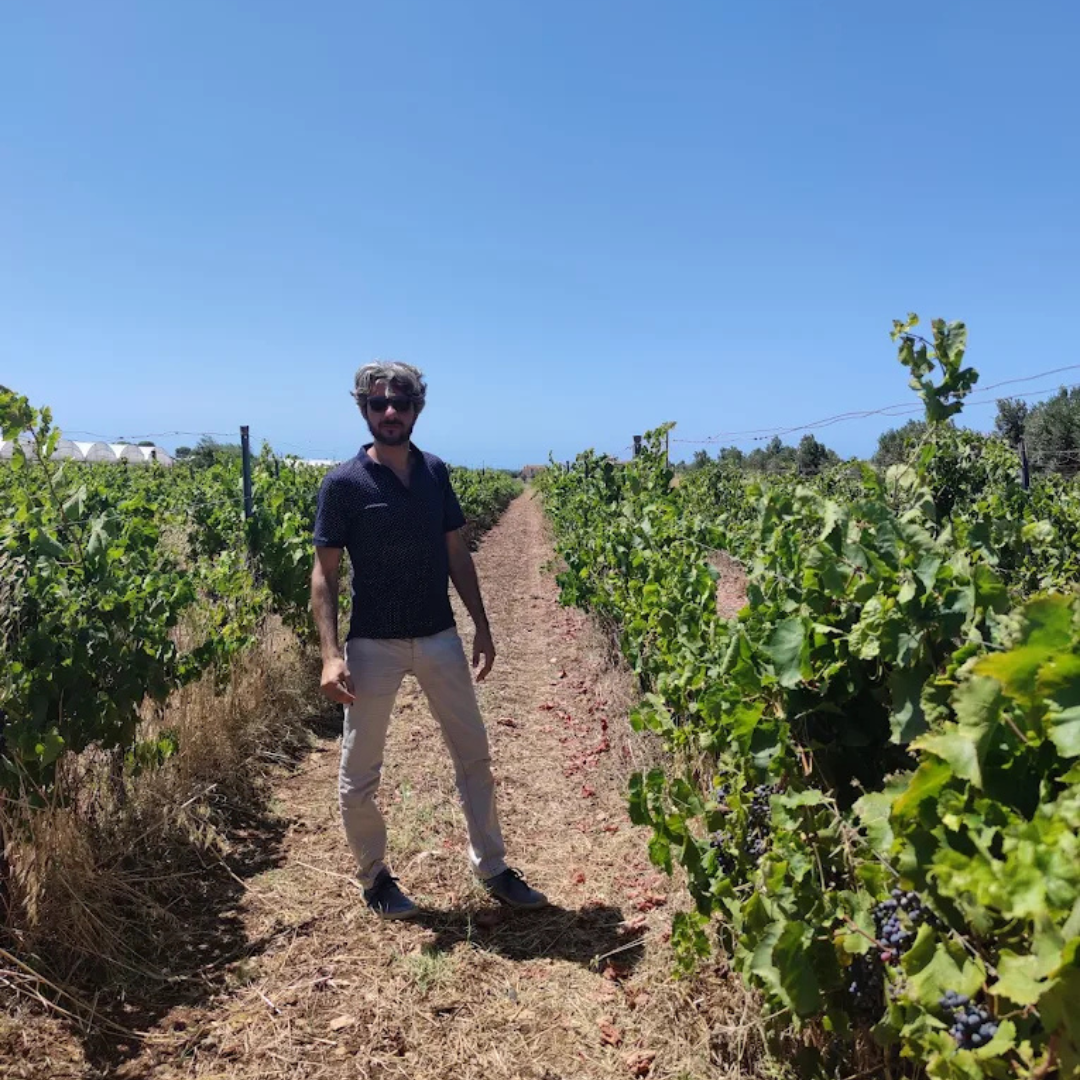 Winery Tour with Wine Tasting & Local Food near Ragusa 1 Ragusa