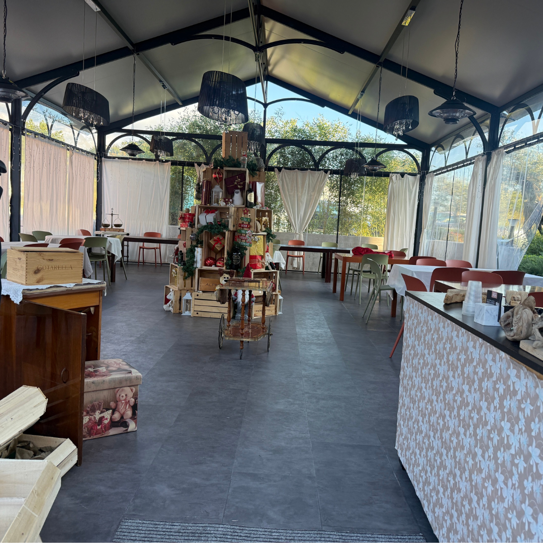 Olive Oil Mill Tour and Tasting near Cinque Terre 5 Massa Carrara