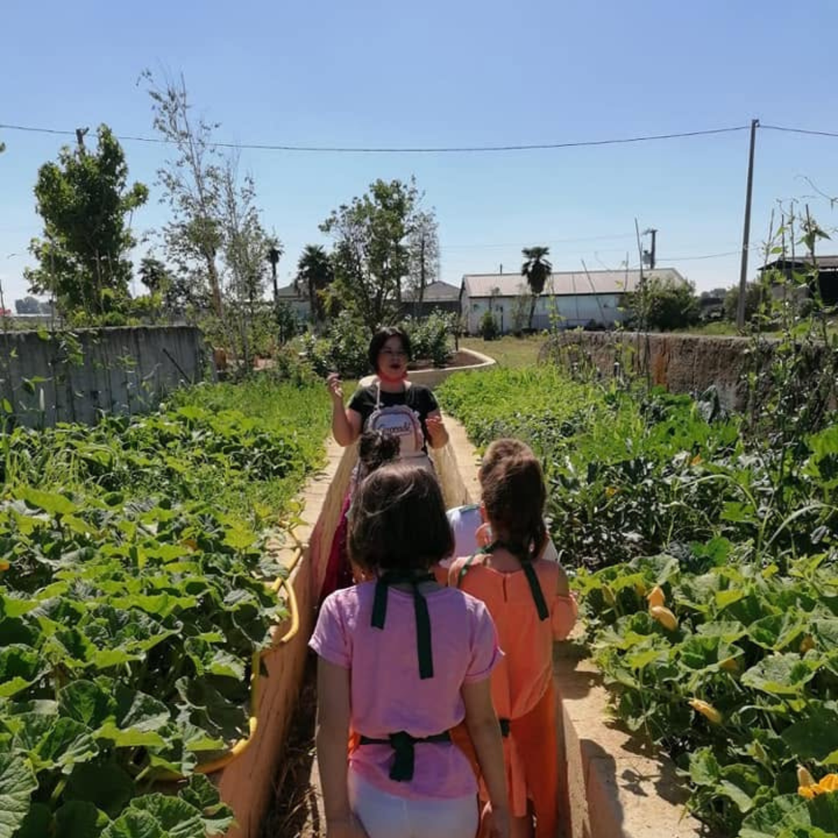 Discover Farm Life Near Verona with a Local Farmer 2 Verona