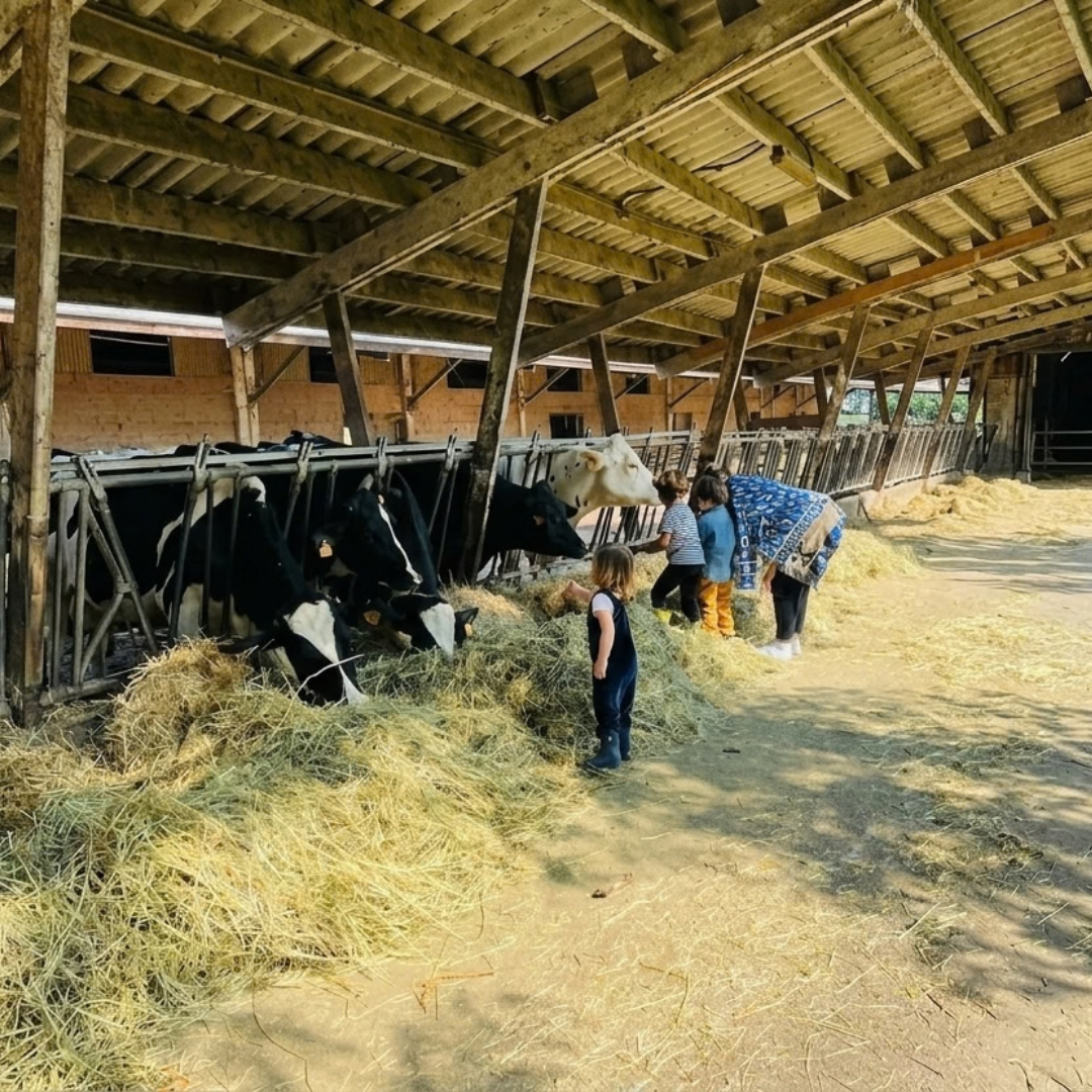 Immersive Farm Park Tour with Cheese Tasting near Milan 3 Milano