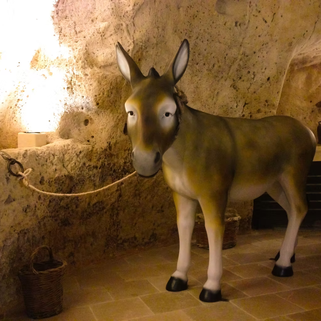 Underground Cave Local Food & Wine Tasting in Matera 4 Matera