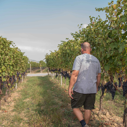 Wine Tasting with Snacks in Neive, the heart of Langhe 4 Cuneo