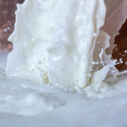 Parmigiano Factory Tour & Tasting near Parma & Reggio 6 Reggio Emilia
