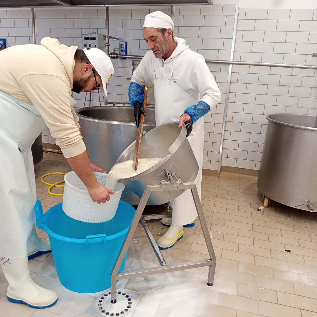 Mozzarella & Provola Cheese Production Visit near Catania 7 Catania