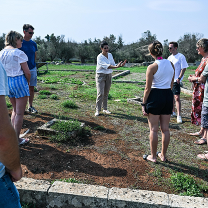 Underground Olive Mill Tour & Tasting near Otranto