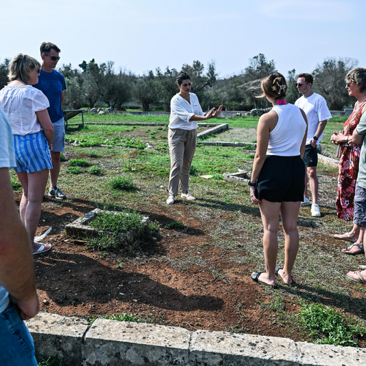 Underground Olive Mill Tour & Tasting near Otranto