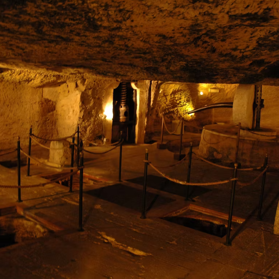 Underground Olive Mill Tour in Gallipoli with Food Tastings 4 Lecce
