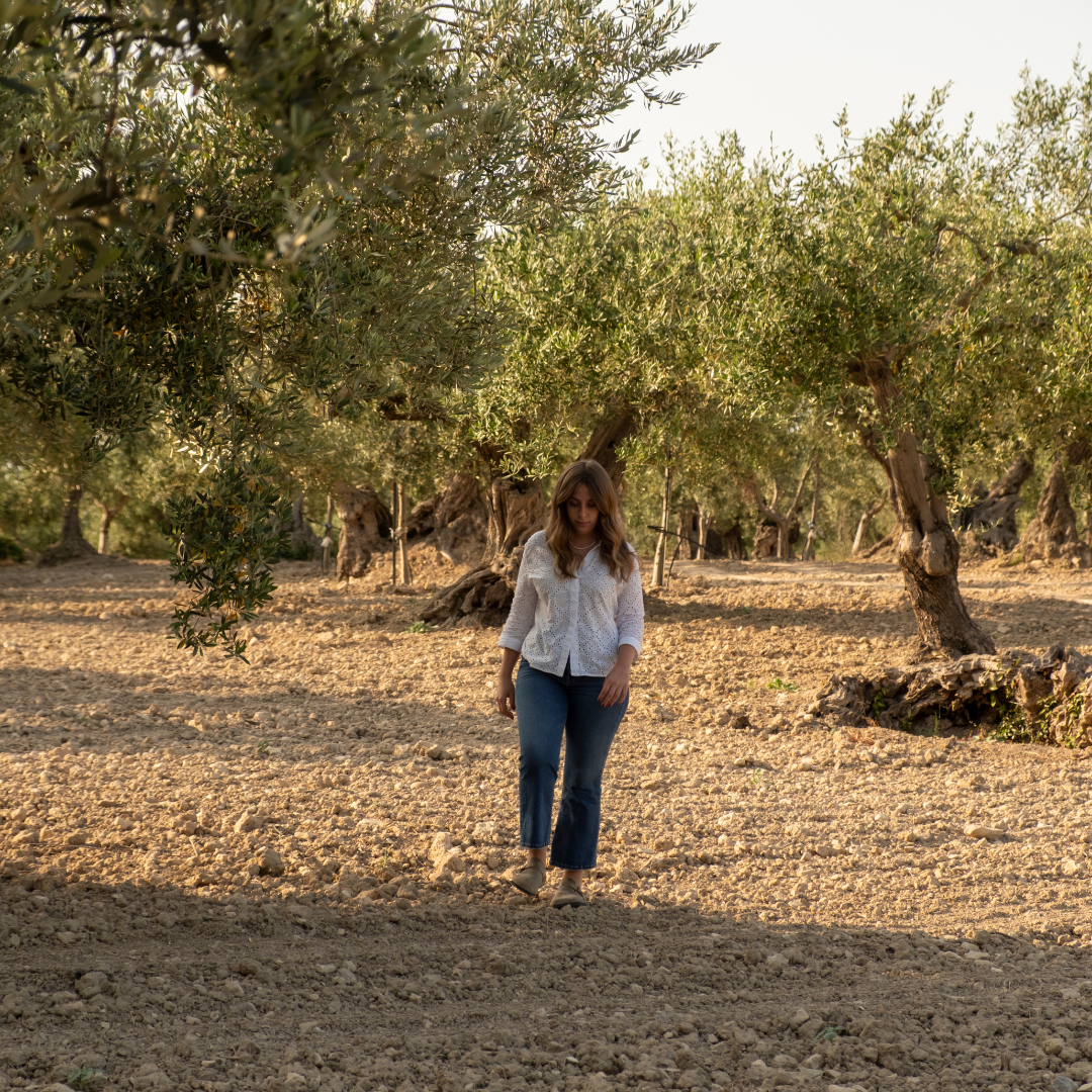 Olive Grove Tour, Oil Tasting & Food in Licata, Agrigento 1 Agrigento