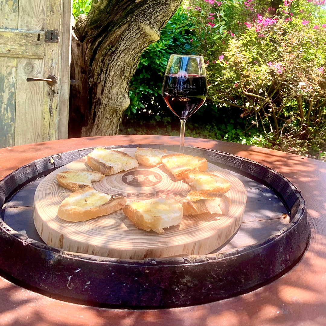 Olive Mill Tour & Guided Tasting near Pesaro 7 Pesaro