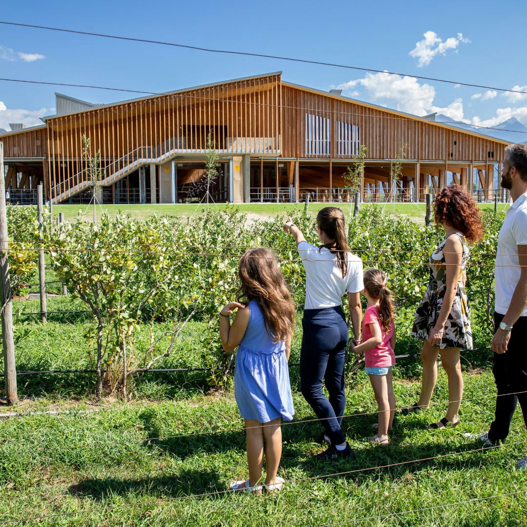 Farm Tour with Cheese Making Workshop near Lake Como 1 Como