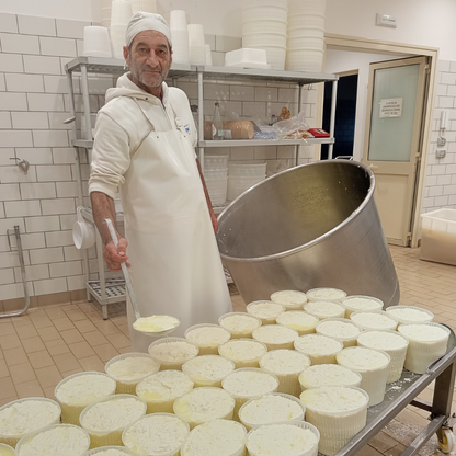 Mozzarella & Provola Cheese Production Visit near Catania 8 Catania