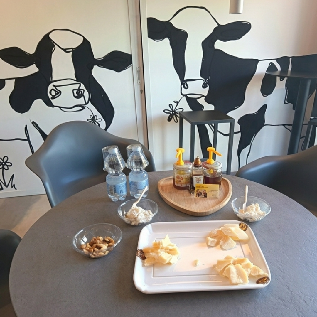 Parmigiano Cheese Factory Tour & Tasting near Modena 5 Modena