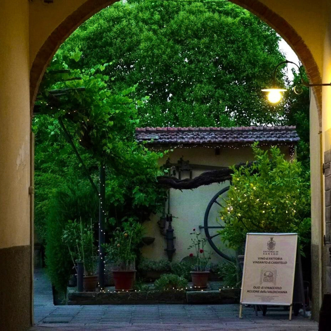 Organic Winery Tour with Wine & Food Tasting in Arezzo 4 Arezzo