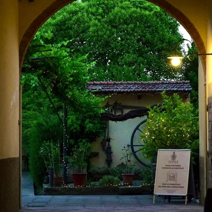 Organic Winery Tour with Wine & Food Tasting in Arezzo 4 Arezzo