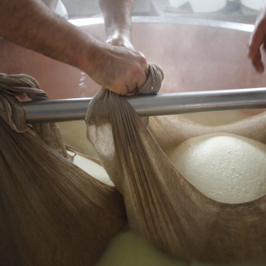From Milk to Wheels in Parma: Parmesan production tour & tasting