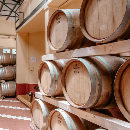 Winery visit & Tasting in Marsala 2 Trapani