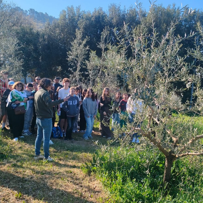 Perugia Olive Oil Mill Tour with Food Tasting