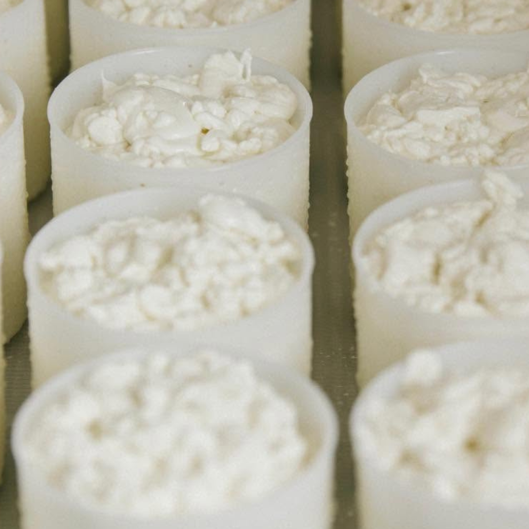 Paestum: Goat Farm Cheesemaking Tour & Tasting 2 Salerno