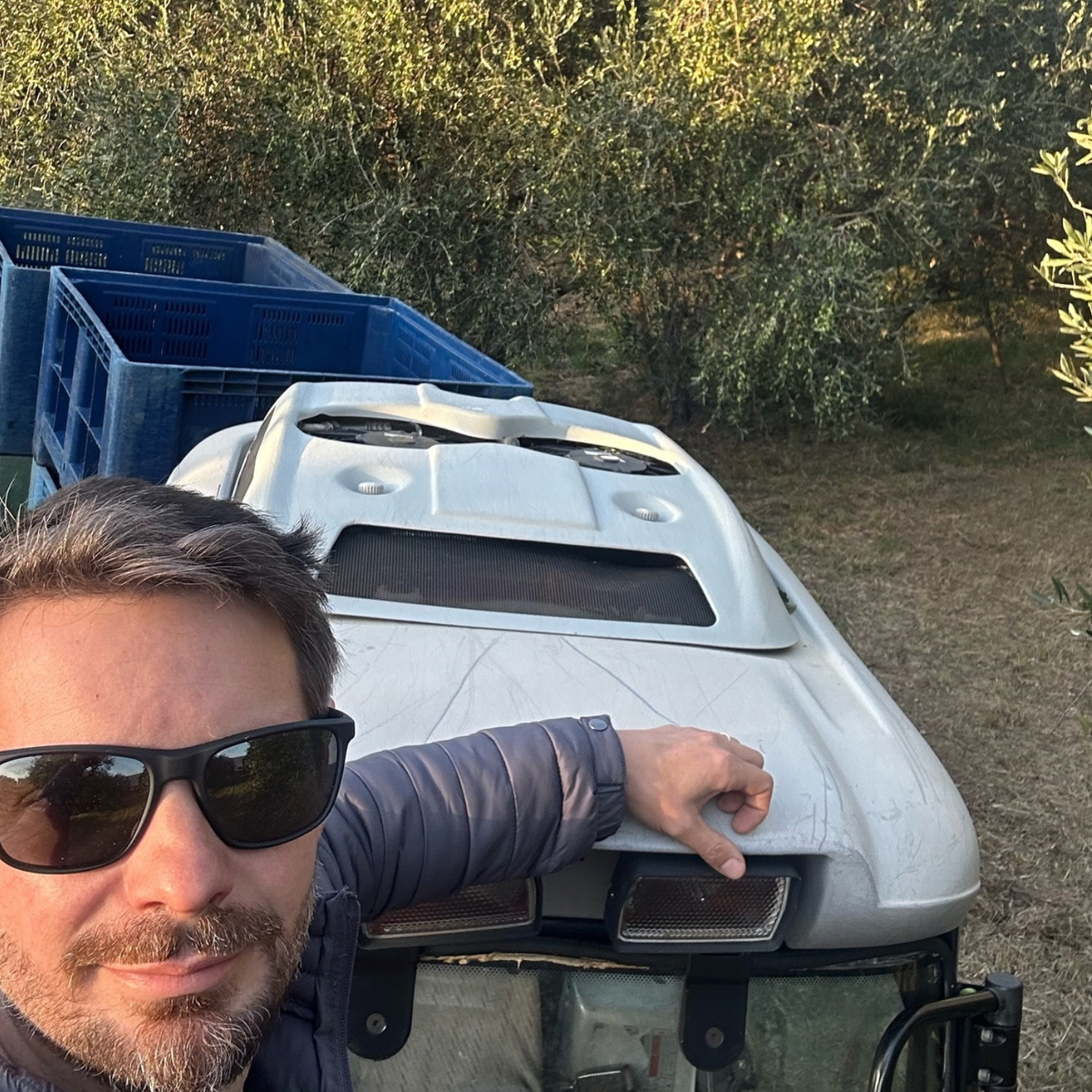 Trieste: Olive Oil Tasting & Grove Walk - Trieste