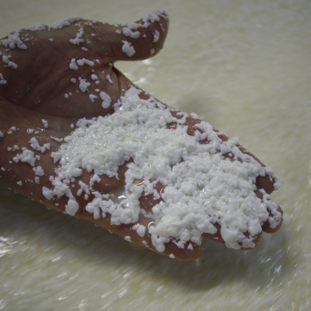 From Milk to Wheels in Parma: Parmesan production tour & tasting 5 Parma