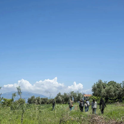 Luxury Winery Tour with Wine and Food Tasting in Sorrento 5 Naples