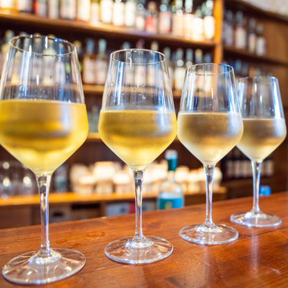 Gourmet Southern Wine Tasting with Pairings in Livorno 6 Livorno