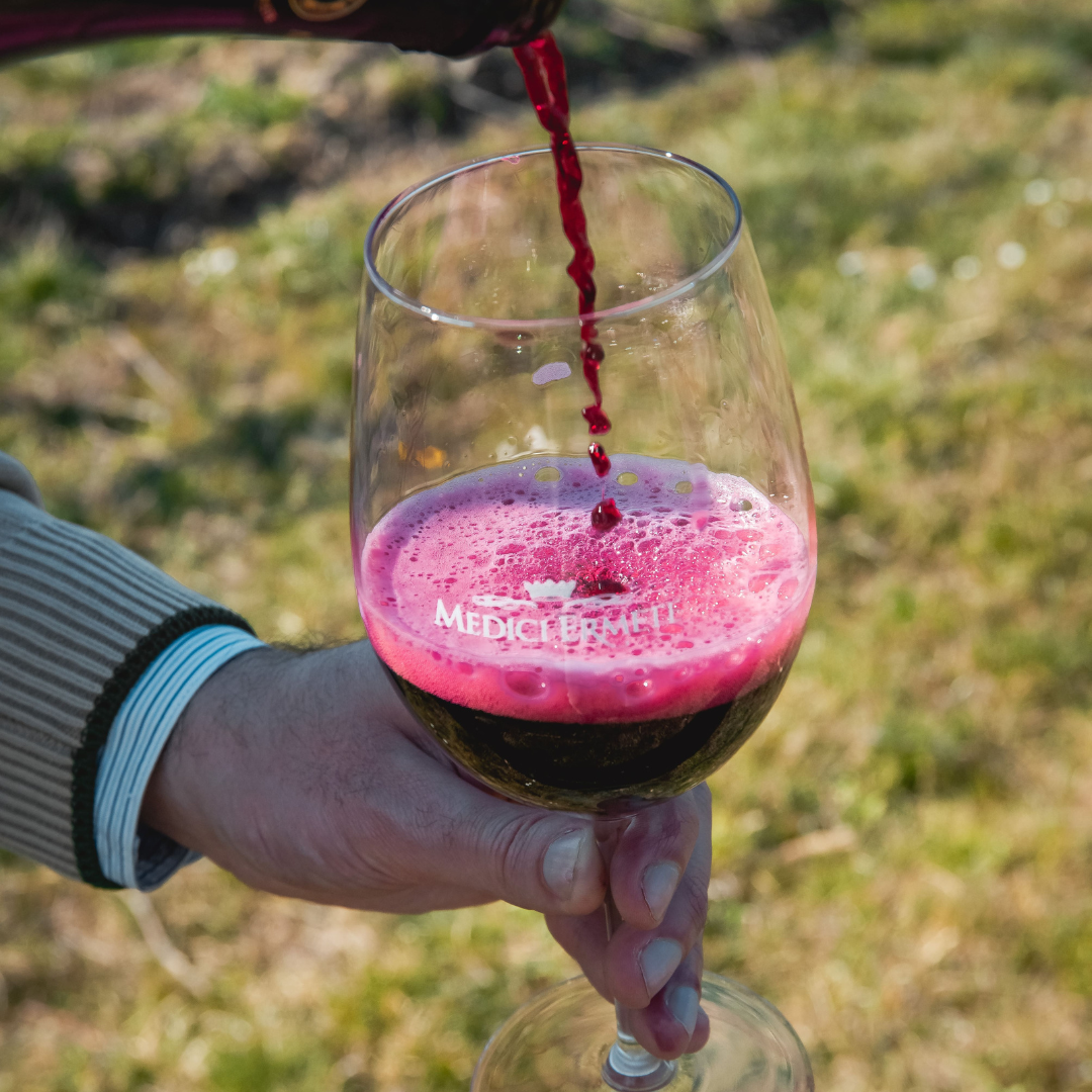 Balsamic Vinegar, Wine Tasting & Tour near Parma & Reggio 2 Reggio Emilia