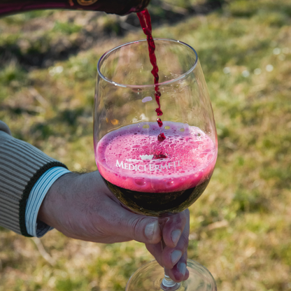 Balsamic Vinegar, Wine Tasting & Tour near Parma & Reggio 2 Reggio Emilia