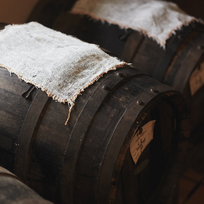 Balsamic Vinegar, Wine Tasting & Tour near Parma & Reggio 3 Reggio Emilia