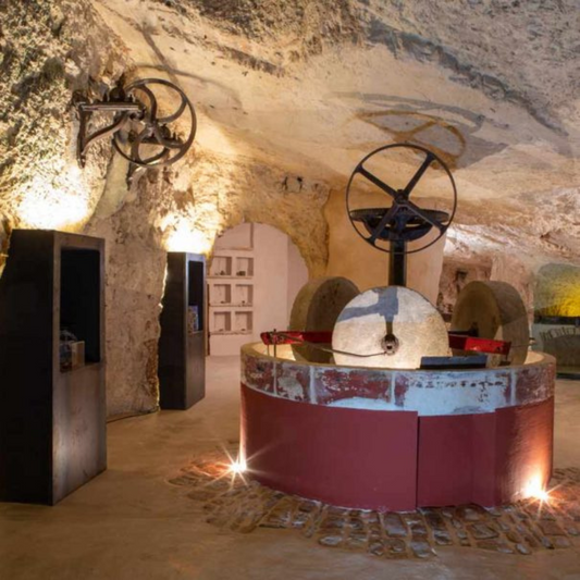 Underground Olive Mill Tour & Tasting near Alberobello & Ostuni