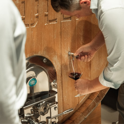 Vineyard Walk and Tasting at a Masseria Winery near Taranto