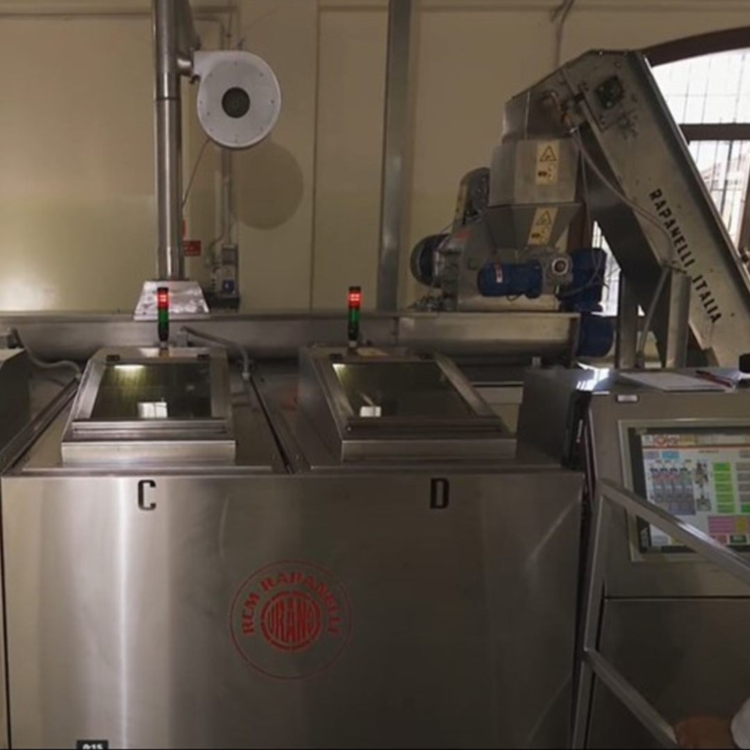 Olive Mill Tour & Guided Tasting near Pesaro 8 Pesaro