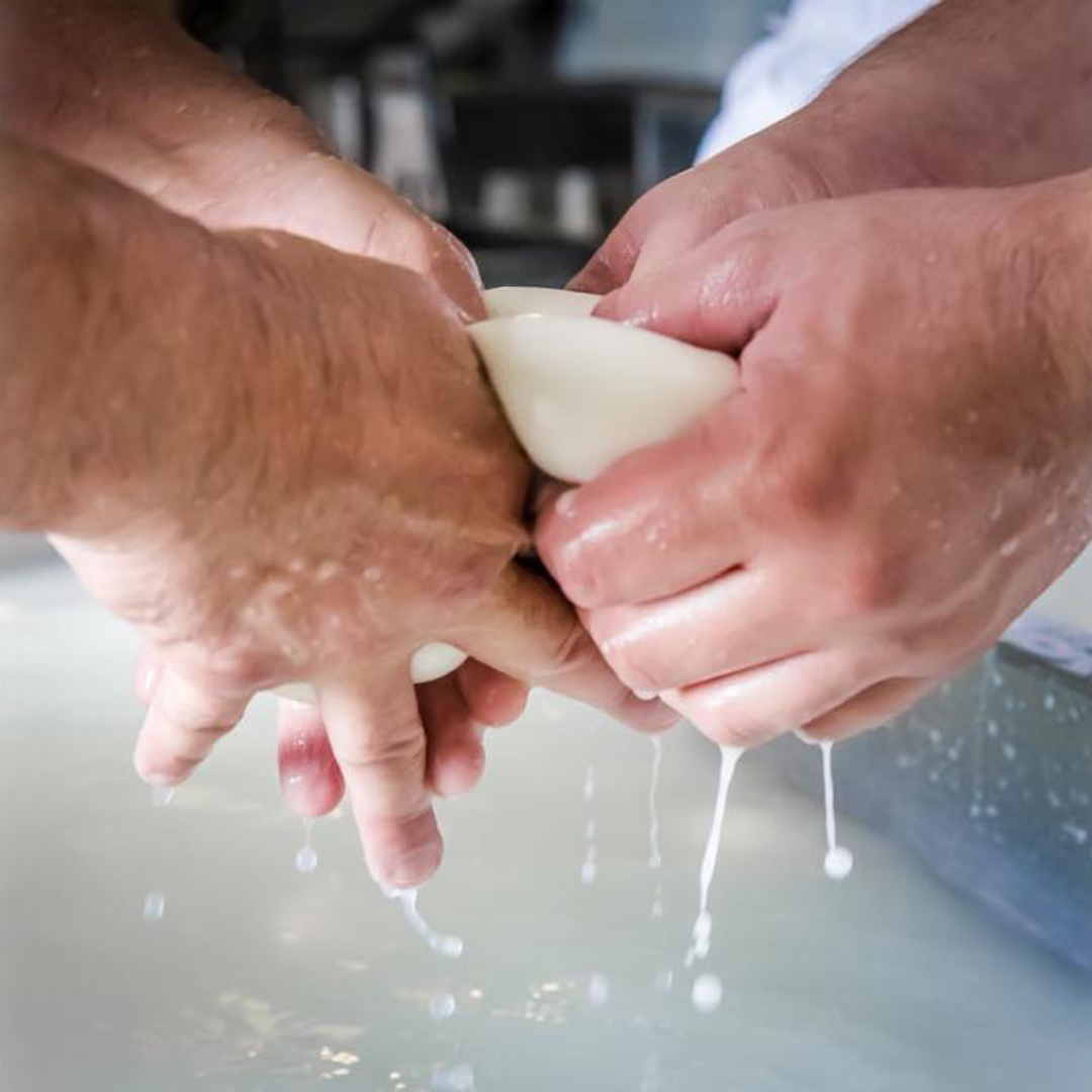 Buffalo Farm Tour with Mozzarella-based Lunch in Paestum 3 Salerno