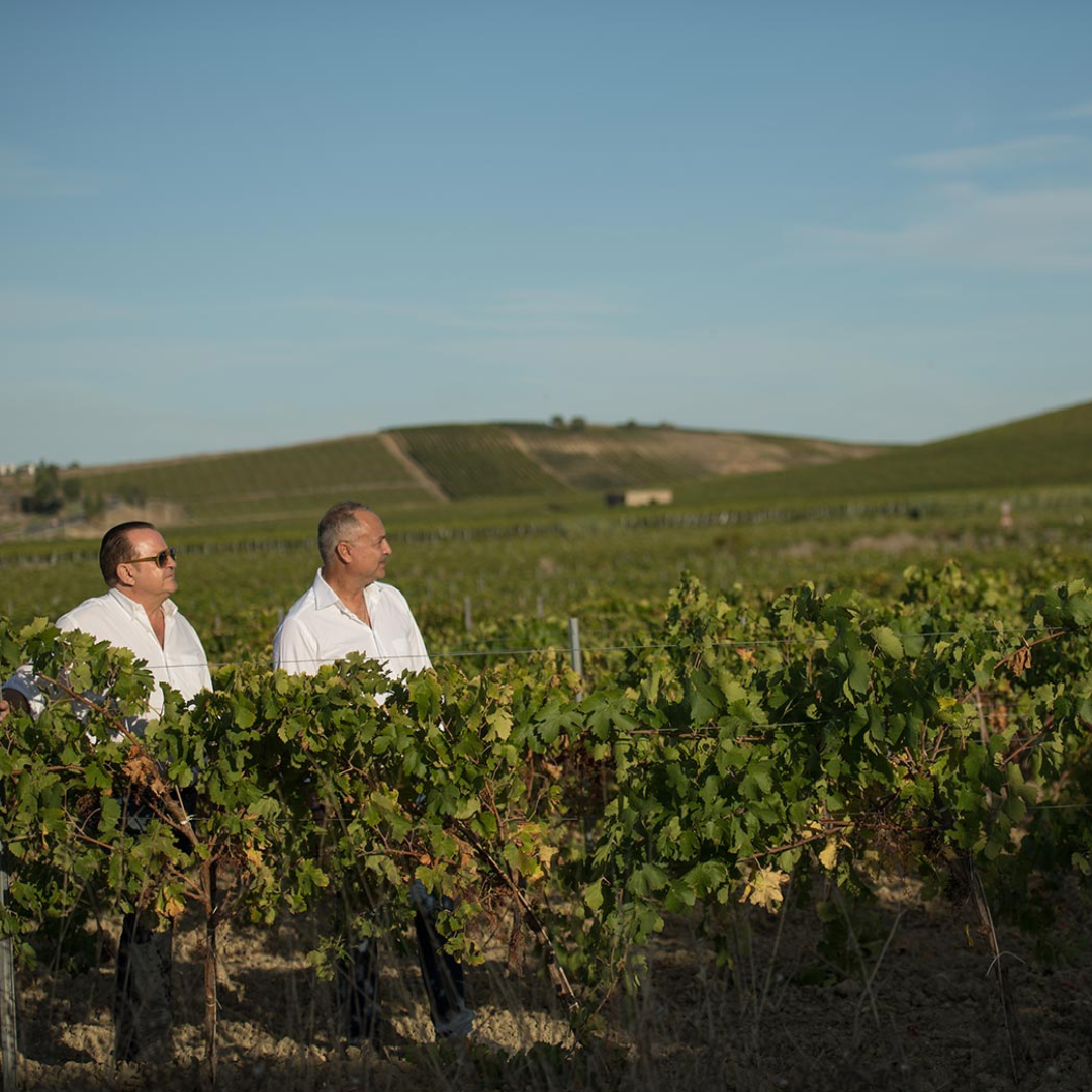 Winery visit & Tasting in Marsala 1 Trapani