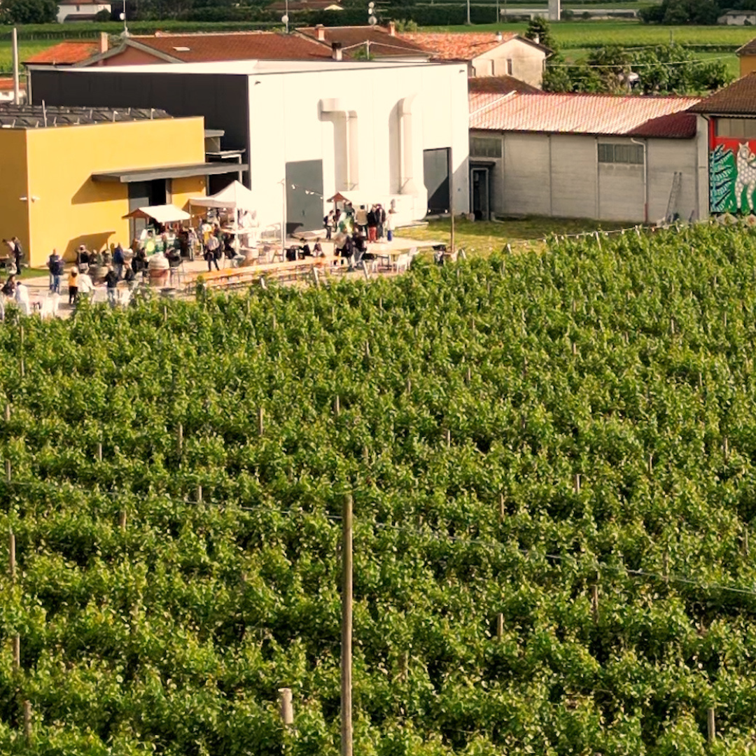 Winery Visit with Wine & Food Tasting near Ravenna 5 Ravenna