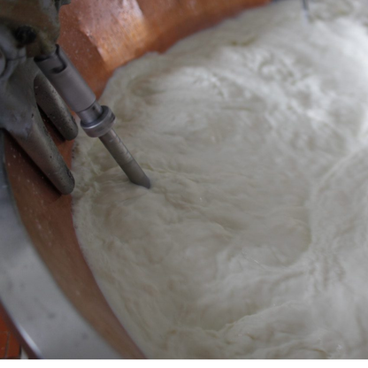 From Milk to Wheels in Parma: Parmesan production tour & tasting 4 Parma