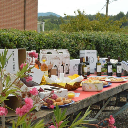 Winery Tour with Wine Tasting & Local Food near Tortona 1 Alessandria