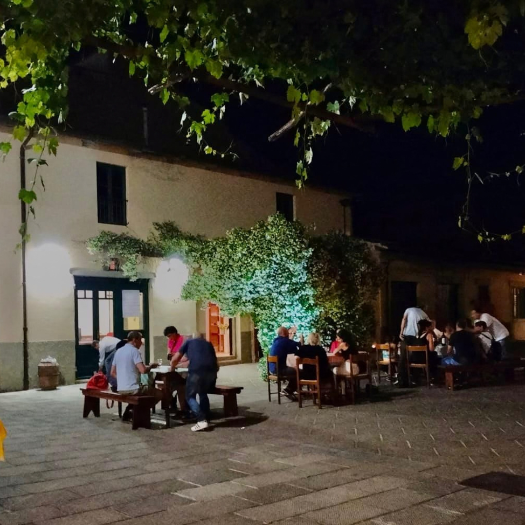 Organic Winery Tour with Wine & Food Tasting in Arezzo 3 Arezzo