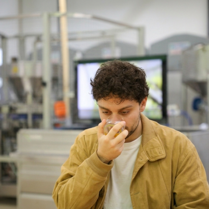 Olive Oil Tasting Experience with Aperitivo near Ancona 6 Ancona