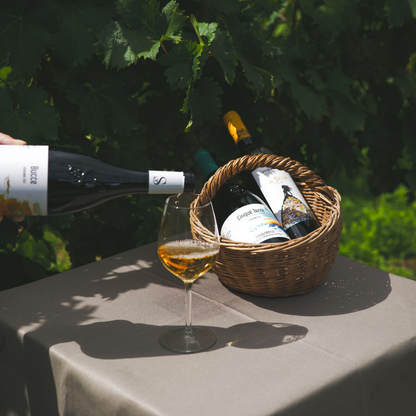 Winery Tour with Wine Tasting in Monterosso, Cinque Terre 7 La Spezia