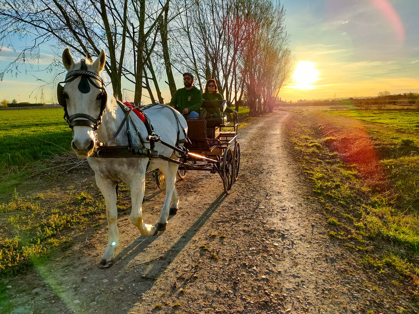 Horse Carriage Tour and tasting of local food in Lazise