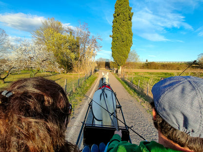 Horse Carriage Tour and tasting of local food in Lazise